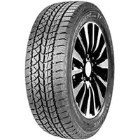 Зимние шины DoubleStar DW02 255/45R19 104T