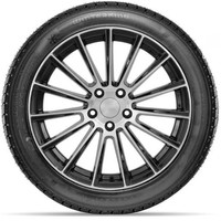 DoubleStar DW02 215/60R17 100T - фото2