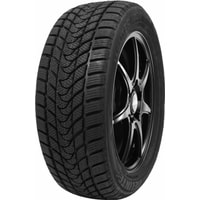 Delinte Winter WD1 195/55R15 85H - фото