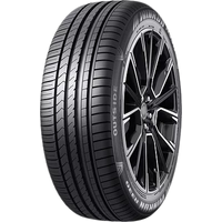 Winrun R330 245/45R19 102W XL - фото