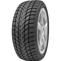 Delinte Winter WD6 155/65R13 73T - фото