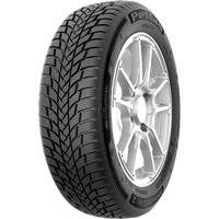 Petlas Snowmaster 2 195/65R15 91H
