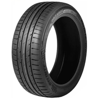 Delinte DS7 Sport 245/40R19 98Y - фото