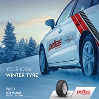 Petlas SnowMaster W651 255/40R19 100V- фото3