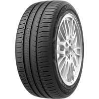 Starmaxx Naturen ST542 195/55R15 85H