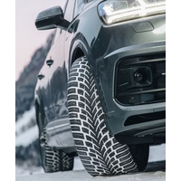 Nokian Tyres WR SUV 4 265/50R19 110V - фото3