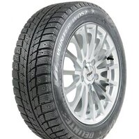 Зимние шины Delinte Winter WD52 245/45R18 100H