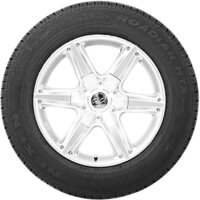 Летние шины Nexen Roadian HTX RH5 265/60R18 110H- фото2
