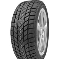 Зимние шины Delinte Winter WD6 175/65R15 84T