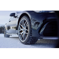 Зимние шины Pirelli P Zero Winter 255/35R20 97W- фото4
