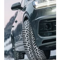 Зимние шины Nokian Tyres WR SUV 4 285/45R19 111V- фото4