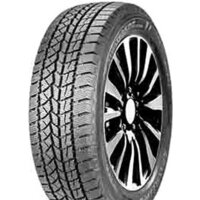 Зимние шины DoubleStar DW02 245/45R19 102T - фото