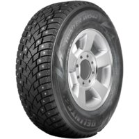 Зимние шины Delinte Winter WD42 225/55R19 103T (шипы)