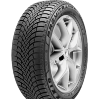 Зимние шины Maxxis Premitra Snow WP6 245/45R18 100V