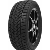 Зимние шины Delinte Winter WD1 175/70R14 88T