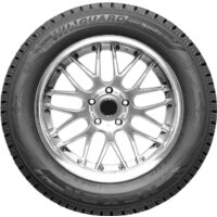 Автомобильные шины Roadstone Winguard WinSpike SUV 205/65R16C 107/105R- фото2