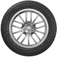 Зимние шины Cordiant Snow Cross 205/55R16 94T (шипы)- фото3