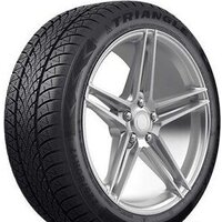Зимние шины Triangle TW401 195/50R16 88H- фото4