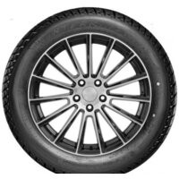 Зимние шины DoubleStar DW01 215/60R17 96T (шипы)- фото3