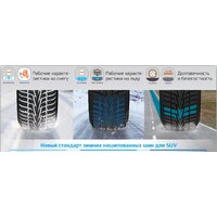 Зимние шины Hankook Winter i*cept X RW10 215/60R17 96T- фото4