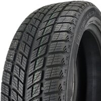 Зимние шины DoubleStar DW09 275/45R20 110H- фото3