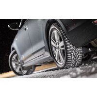 Зимние шины Nokian Tyres Nordman 7 215/45R17 91T (шипы)- фото4