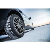 Зимние шины Nokian Tyres Hakkapeliitta 9 205/60R16 96T (шипы)- фото2