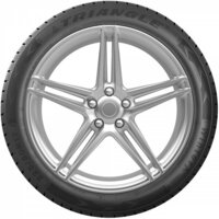 Зимние шины Triangle TW401 195/55R16 91H- фото3