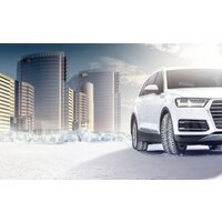 Зимние шины Nokian Tyres Hakkapeliitta 9 SUV 315/40R21 115T (шипы)- фото4