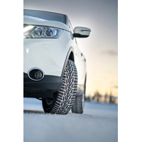 Зимние шины Nokian Tyres Nordman 7 SUV 225/70R16 107T (шипы)- фото4