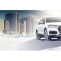 Зимние шины Nokian Tyres Hakkapeliitta 9 SUV 285/60R18 116T (шипы)- фото4