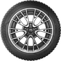 Зимние шины Torero MP30 225/75R16 108T (шипы)- фото3