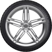 Triangle IcelynX TI501 175/65R15 88T (шипы)- фото3
