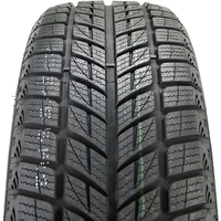 DoubleStar DW09 315/35R20 106T - фото2