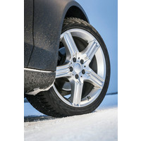 Nokian Tyres WR D4 195/65R15 95H- фото3