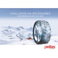 Petlas Glacier W661 185/60R15 88T- фото2