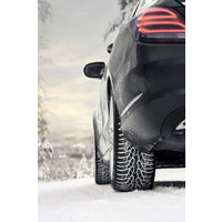 Nokian Tyres WR D4 205/55R16 91T - фото3