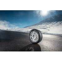 Michelin Alpin 5 215/65R17 99H- фото3