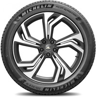 Зимние шины Michelin Pilot Alpin 5 SUV 255/45R21 106V- фото3
