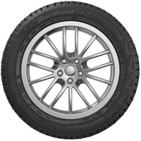 Cordiant Snow Cross 225/55R18 102T (шипы)- фото2