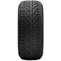 Taurus Winter 195/65R15 91T